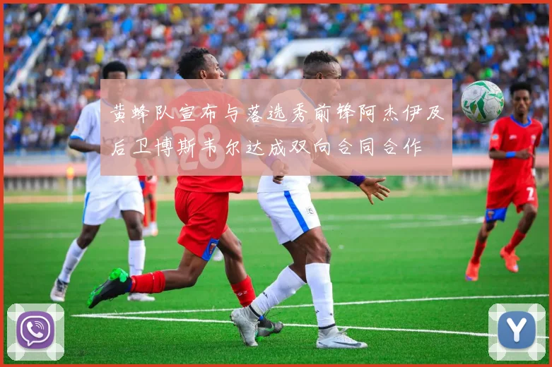 黄蜂队宣布与落选秀前锋阿杰伊及后卫博斯韦尔达成双向合同合作