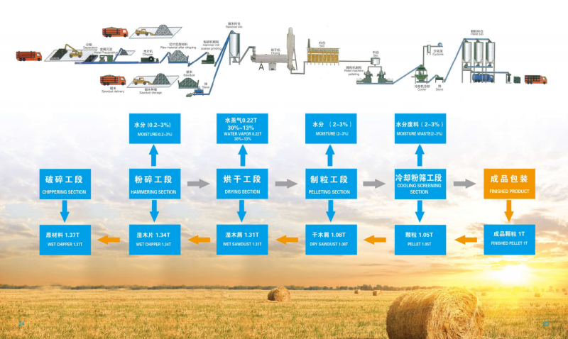 必赢宣传册_13 - 副本.png